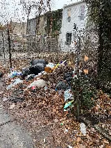 Baltimore Pest Control Exterminators photo 7