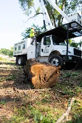 JC Landscape & Maintenance photo 2