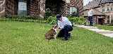 Moxie Pest Control