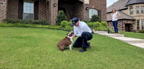 Moxie Pest Control photo 1