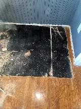 Matrix Plumbing & Services Inc photo 4