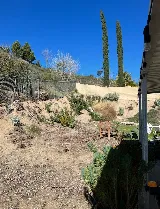 SJR Landscaping photo 4
