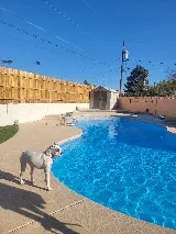 Cclear Pool Service & Repair Las Vegas NV photo 4