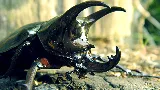RainCity Pest Control photo 5