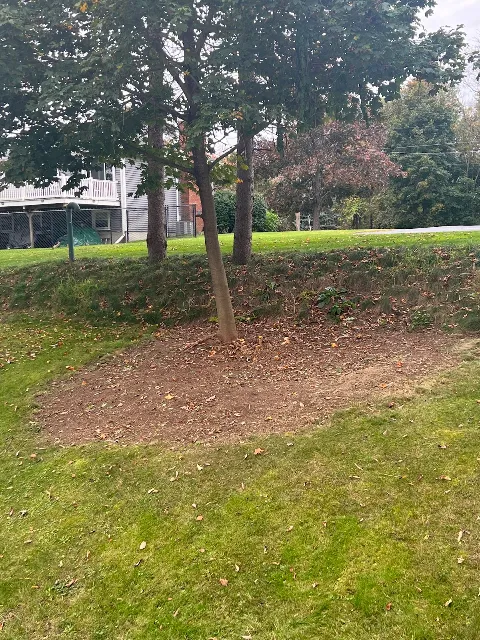 OBrien Landscape, LLC photo 1