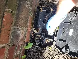 901 Pest Control photo 6