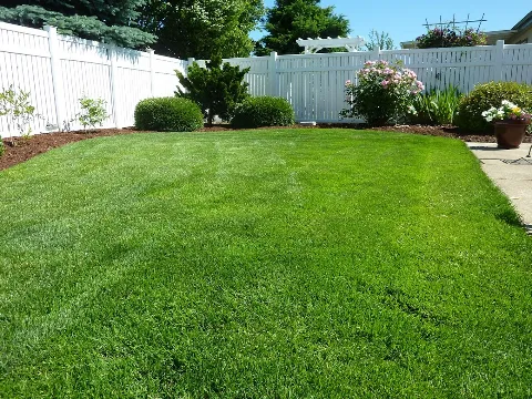 Total Property Services Inc. in Stouffville