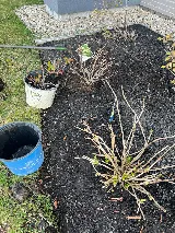 CMG Landscaping photo 7