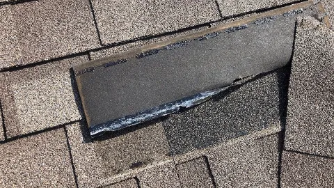 Pointer Roofing & Construction LLC photo 1