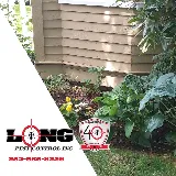 Long Pest Control photo 3
