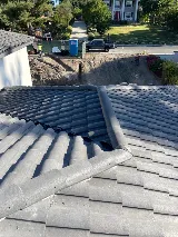 Green Ladder Roofing and Waterproofing photo 6