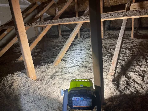 Pestline - Pest Control Vaughan photo 1