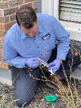 Mantis Pest Solutions photo 4