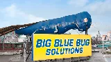 Big Blue Bug Solutions