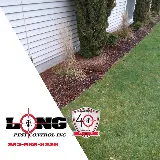 Long Pest Control photo 5