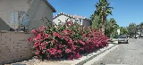 Prowess Landscaping Maintenance Inc. photo 3