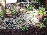 Before The Worm Landscaping photo 3