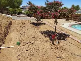 Lara Landscaping photo 7