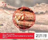 HMO - Residential and Commercial Pest Control Charlotte photo 8