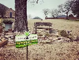 Higher Ground Lawn Care & Landscape Lighting photo 5
