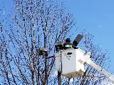 Laswell Electric Company Inc. photo 8