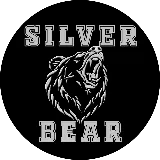 Silver Bear Landscaping photo 8
