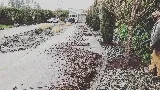 Vision Landscaping photo 10
