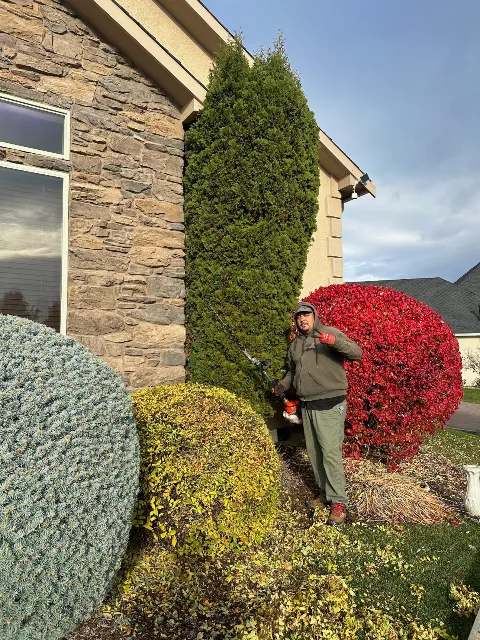Azteca Lawn & Care / Landscaping Services photo 1