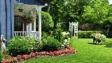 Longo Landscape and Stone