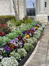 Landscape company photo 5