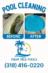 Palm Tree Pool Service photo 8