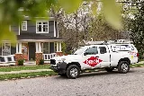 Orkin photo 3