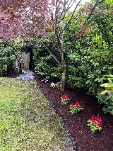 Blossom Landscaping photo 8