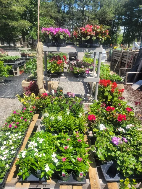 Leading Edge Landscaping and Supply photo 1