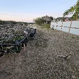 “Carrizales” Landscaping LLC. (RGV) photo 8