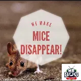 Mr Bug Pest Control photo 3
