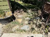 Gallatin Valley Landscaping photo 8