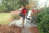 Palmetto Exterminators photo 3