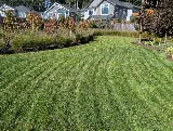 TOMEI Landscaping Ltd photo 2