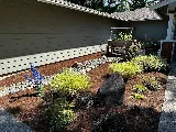 Aden Landscaping photo 5