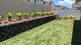 Aloha `Aina Landscaping LLC photo 8