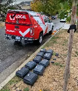 Local Pest Control Ltd photo 5