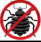Paisley Ann's Pest Management photo 8
