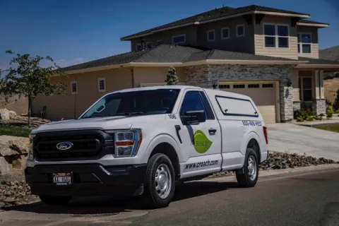 Croach Pest Control in Aurora