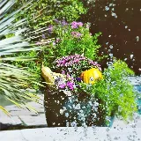 Lambert Landscape Company photo 8