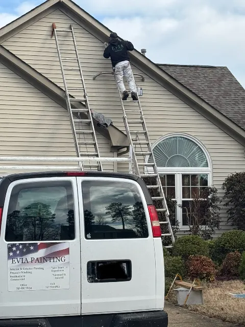 Evia Painting in Newport News