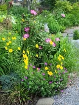 Plan(t) Wise Garden and Landscape Design