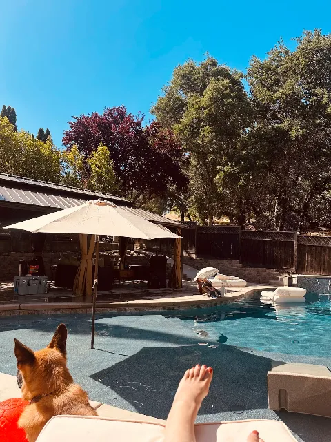prestigious pools photo 1