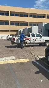 Griffin Pest Management photo 6