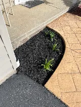 Landscape Solutions photo 4